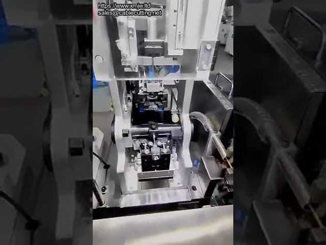 Otomatik Çift Kafalı Terminal Sıkma ve Su Geçirmez Fiş Takma Makinesi
