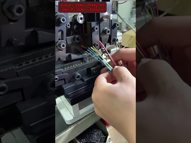 Yarı Otomatik XH2 54 Terminal Sıkma Makinesi | Molex & JST Kablo Sıyırma ve Sıkma