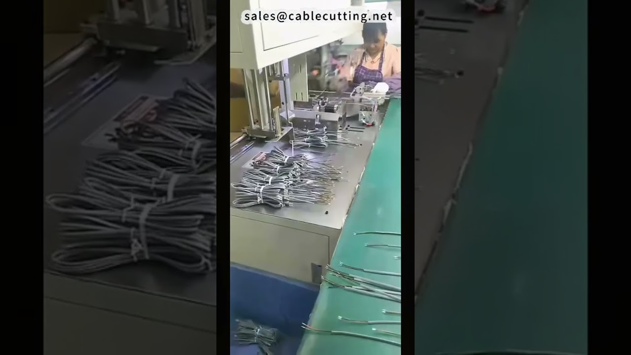 Üretim Hattı Otomatik Lehimleme, Enjeksiyon Kalıplama ve Otomatik Sarma Bağlama İşlemleri