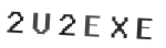Verification Code Image